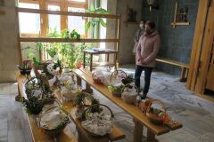 IMG_0898-Copy