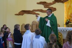 IMG_3017-Copy