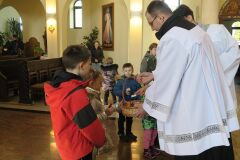 IMG_4287-Copy