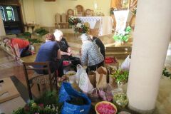 IMG_5677-Copy