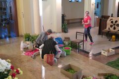 IMG_5694-Copy