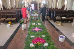 IMG_5699-Copy
