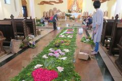 IMG_5703-Copy