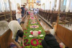 IMG_5712-Copy