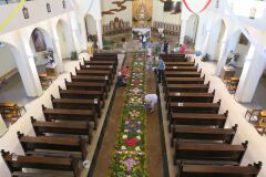 IMG_5713-Copy