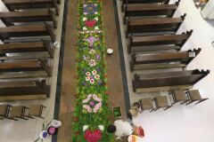 IMG_5714-Copy
