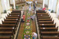 IMG_5715-Copy