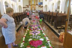 IMG_5716-Copy