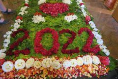 IMG_5717-Copy