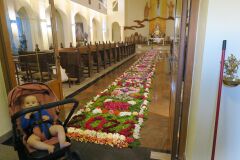 IMG_5719-Copy