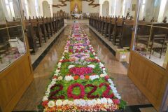 IMG_5720-Copy