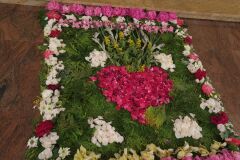 IMG_5721-Copy