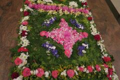 IMG_5722-Copy