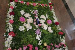 IMG_5723-Copy