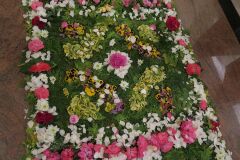 IMG_5724-Copy