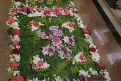 IMG_5725-Copy