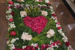 IMG_5726-Copy