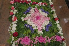 IMG_5727-Copy