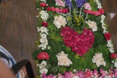 IMG_5731-Copy