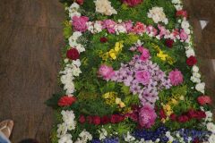 IMG_5732-Copy