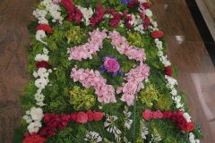 IMG_5735-Copy