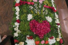 IMG_5736-Copy