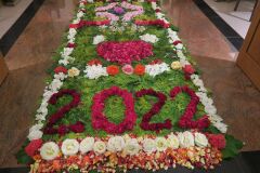 IMG_5737-Copy