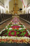 IMG_5740-Copy