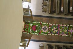 IMG_5745-Copy