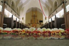 IMG_5749-Copy