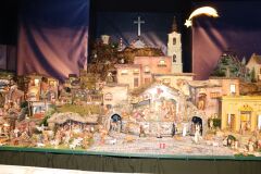 IMG_7875