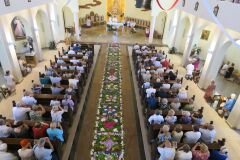 IMG_5774-Copy
