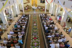 IMG_5776-Copy