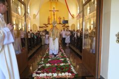 IMG_5783-Copy