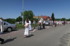 IMG_5785-Copy