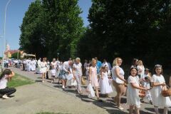 IMG_5802-Copy