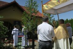 IMG_5805-Copy