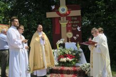 IMG_5874-Copy