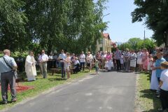 IMG_6010-Copy