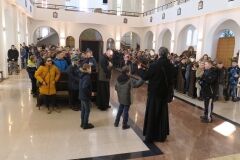 IMG_6282