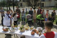 IMG_6166