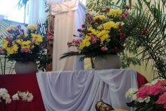 IMG_20200410_165237373