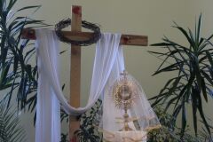 IMG_7755-Niestandardowy