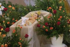 IMG_4020-Copy