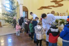 IMG_4030-Copy