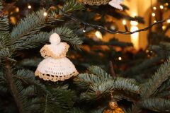 IMG_7555