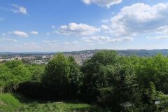 IMG_6211-Copy