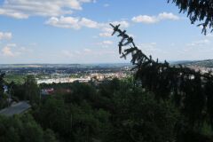 IMG_6217-Copy