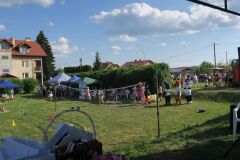 IMG_6291-Copy