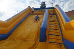 IMG_6317-Copy